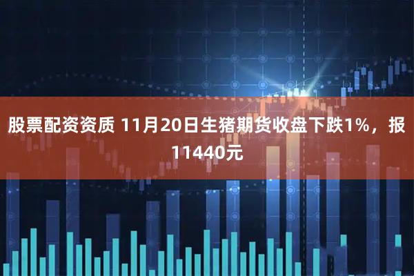 股票配资资质 11月20日生猪期货收盘下跌1%，报11440元